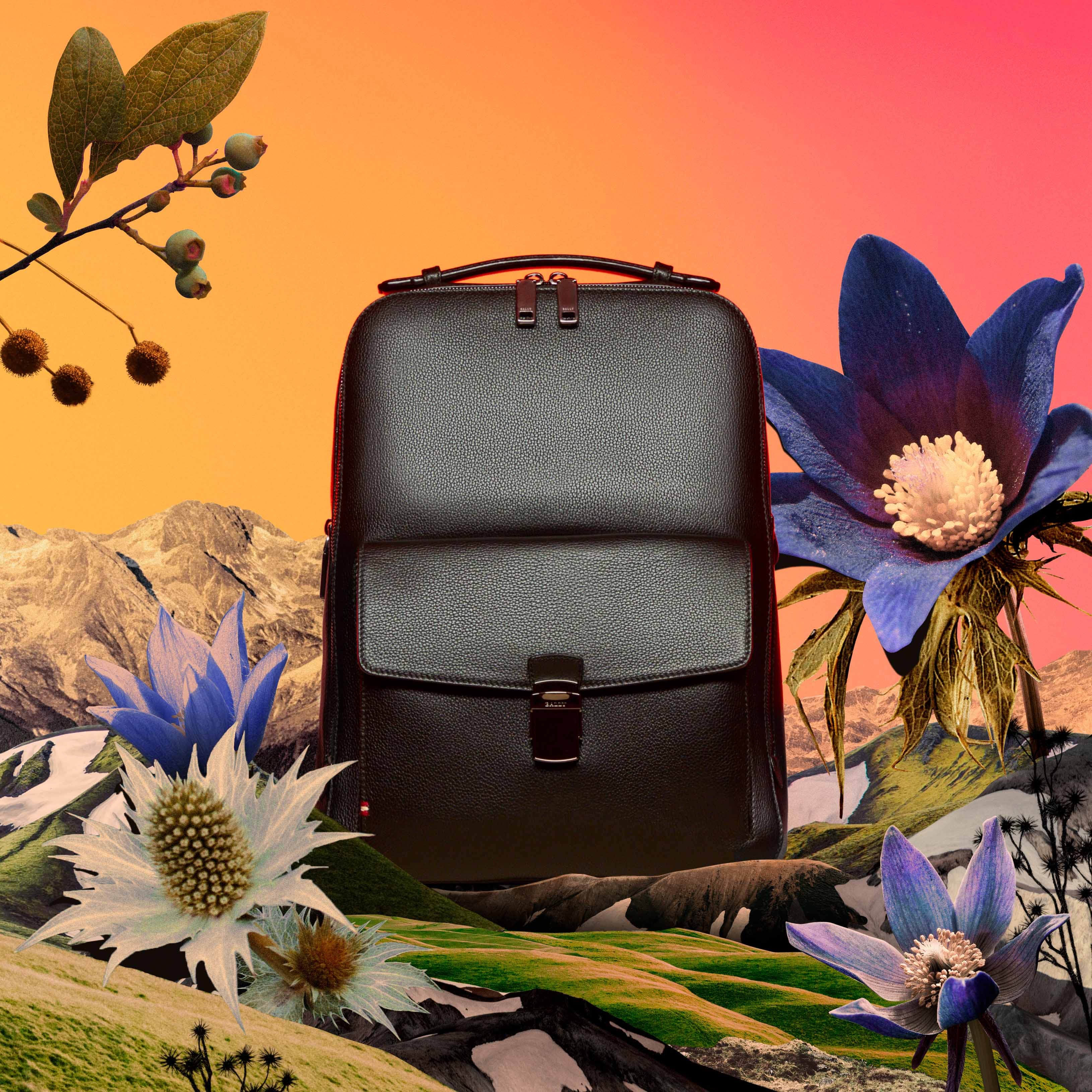 Bally-3.jpg