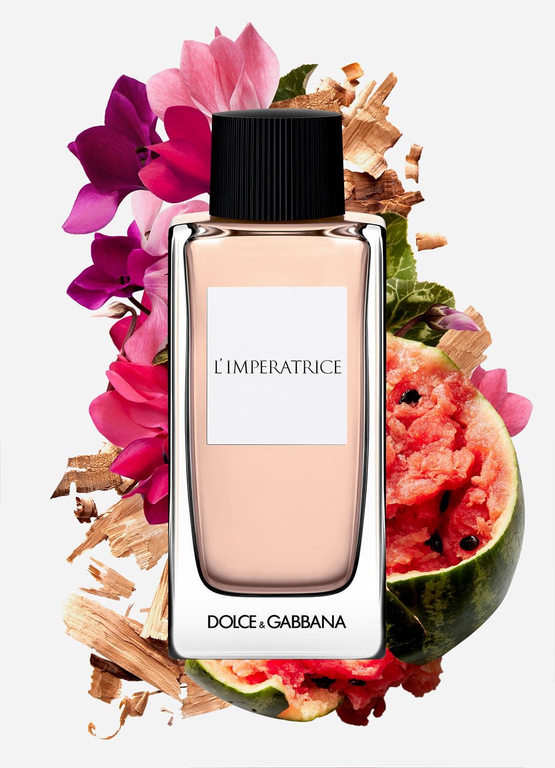Dolce & Gabbana