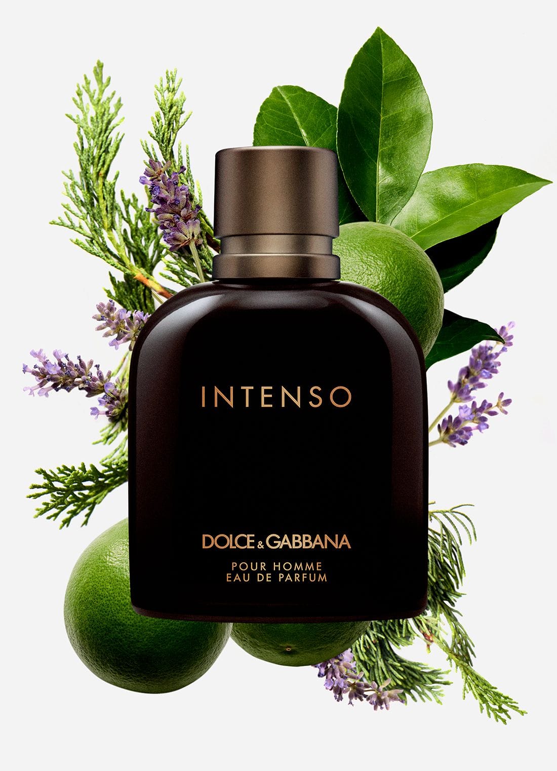 Classici Pour Homme Intenso 9232603a7d