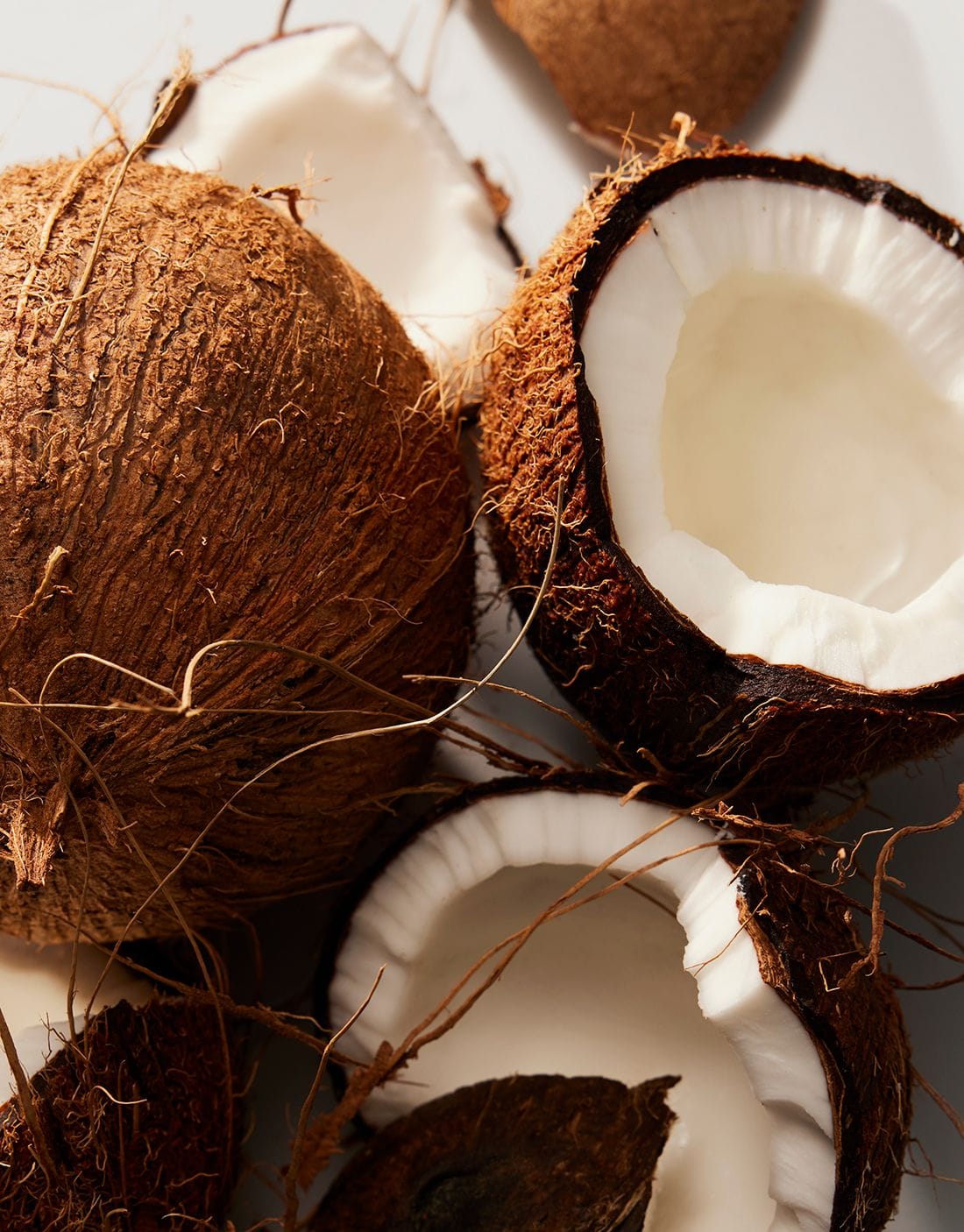 Coconut Edit 89db157c03